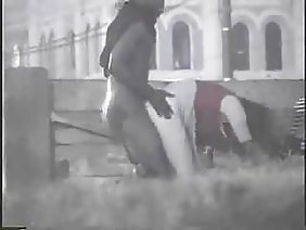 एकदम से कुतिया की चूत में एक चूतड़ घुसा दिया