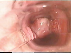 पूल द्वारा दो sluts गड़बड़ और कंपनियों में उन्हें भरवां