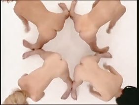 लड़कों की प्रकृति पर कमबख्त blowjob बेकार है