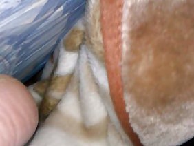 बड़े काले और राक्षसों के साथ 3 डी पोर्न वीडियो का चयन