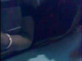 आकर्षक सचिवों के साथ कमबख्त बिल्ली