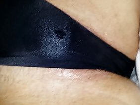 मोज़ा में Hudenkyu श्यामला एक बिल्ली है