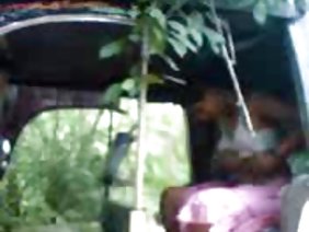 गधा निर्देशक में आकर्षक कुतिया