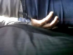 गधे शानदार कुतिया