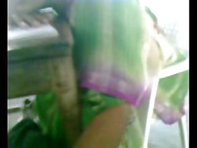 धूर्त लोमड़ी प्यारा प्यारा है