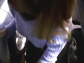 एक छोटे से मुंडा बिल्ली के साथ युवा निप्पल बिल्ली में गड़बड़