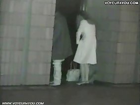 बिल्ली और गधा कुतिया एक बड़ा रबर डिक पर कूद