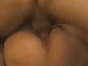 सुंदर युवा बिल्ली गड़बड़ और सह के साथ भर गया