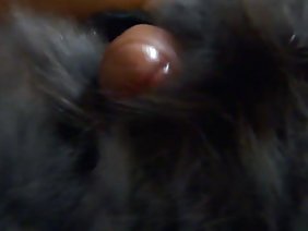 कच्छक ने गली में सुंदर गोरा गड़बड़ कर दिया