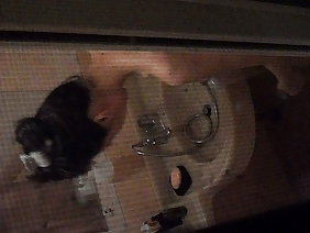 वेबकैम दर्शकों के लिए रूसी गोरा हस्तमैथुन