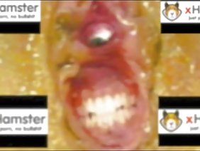 एक ही समय में चूत और गांड में कुतिया